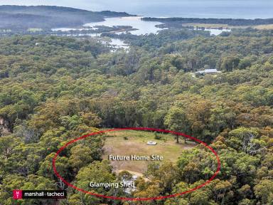 Farm For Sale - NSW - Murrah - 2546 - Private Beach Access - Homesite on 21ha + Glamping Shed.  (Image 2)