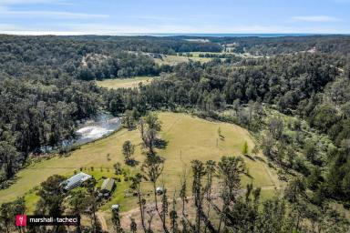 Farm For Sale - NSW - Coolagolite - 2550 - An Idyllic Coastal Farm Retreat  (Image 2)