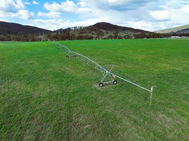 Farm For Sale - NSW - Deepwater - 2371 - OUTSTANDING GRAZING OPPORTUNITY WITH CARBON POTENTIAL  (Image 2)