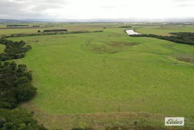 Farm For Sale - VIC - Alberton - 3971 - PICTURESQUE RIVER COUNTRY  (Image 2)