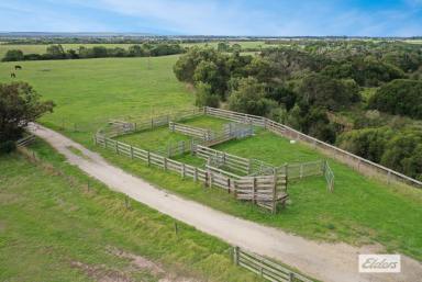 Farm For Sale - VIC - Alberton - 3971 - PICTURESQUE RIVER COUNTRY  (Image 2)