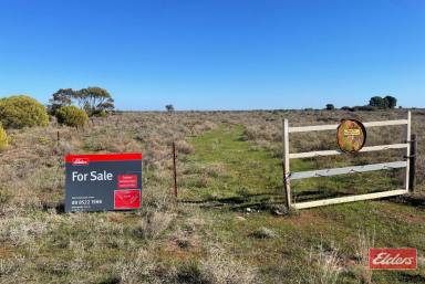 Farm For Sale - SA - Lower Light - 5501 - Prime Opportunity - 118 acres in Lower Light  (Image 2)