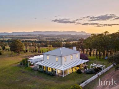 Farm For Sale - NSW - Lovedale - 2325 - THIRSTY PALETTE - HUNTER VALLEY VINEYARD AND ACCOMMODATION  (Image 2)