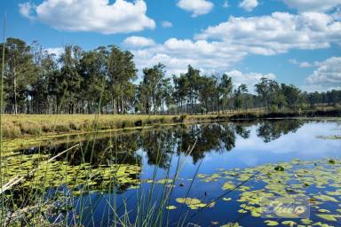 Farm For Sale - QLD - Curra - 4570 - LOOK NO FURTHER! This one ticks ALL the boxes!  (Image 2)