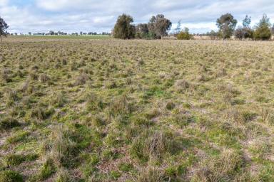 Farm For Sale - NSW - Cowra - 2794 - 157ACRE*, PRIME COUNTRY WITH A BUILDING ENTITLEMENT!  (Image 2)