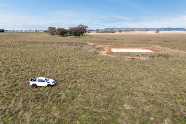 Farm For Sale - NSW - Cowra - 2794 - 157ACRE*, PRIME COUNTRY WITH A BUILDING ENTITLEMENT!  (Image 2)