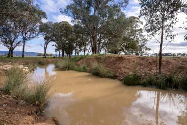 Farm For Sale - NSW - Cowra - 2794 - 157ACRE*, PRIME COUNTRY WITH A BUILDING ENTITLEMENT!  (Image 2)