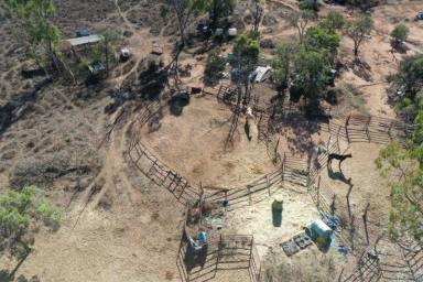 Farm For Sale - QLD - Southern Cross - 4820 - 59 acres shed tractor horses $390,000  (Image 2)