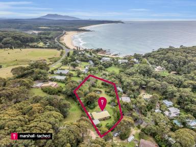 Farm For Sale - NSW - Barragga Bay - 2546 - A Barragga Bay Enclave - 2.4 Sunlit Acres near Beach  (Image 2)