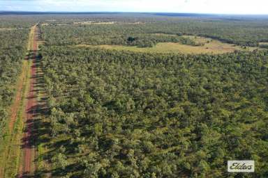 Farm For Sale - NT - Katherine - 0850 - Rural Lifestyle at exceptional value!! 166.4 Ha with cleared and fenced productive land.  (Image 2)