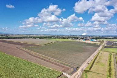 Farm For Sale - QLD - Brandon - 4808 - 943 Acre Freehold/Leasehold Sugar Cane Property  (Image 2)