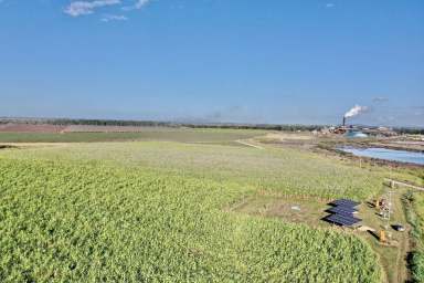 Farm For Sale - QLD - Brandon - 4808 - 943 Acre Freehold/Leasehold Sugar Cane Property  (Image 2)