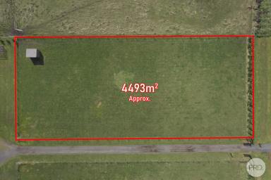 Farm For Sale - VIC - Waubra - 3352 - Build Your Dream Home With All The Hard Work Done!  (Image 2)