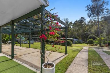 Farm For Sale - QLD - Glenwood - 4570 - A HIDDEN GEM  (Image 2)