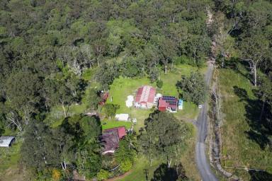 Farm Auction - NSW - Tyndale - 2460 - Price Guide: $1,250,000 - $1,350,000  (Image 2)