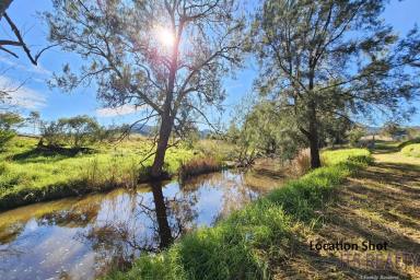 Farm For Sale - NSW - Muswellbrook - 2333 - Perfect for the Family  (Image 2)