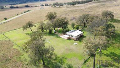 Farm For Sale - NSW - Muswellbrook - 2333 - Perfect for the Family  (Image 2)