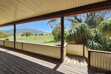 Farm For Sale - NSW - Muswellbrook - 2333 - Perfect for the Family  (Image 2)