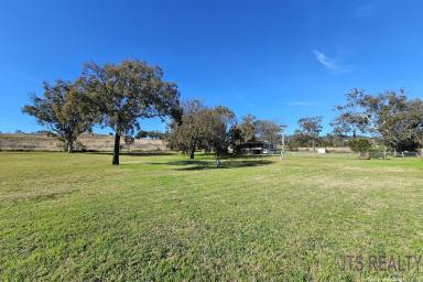 Farm For Sale - NSW - McCullys Gap - 2333 - Perfect for the Family  (Image 2)