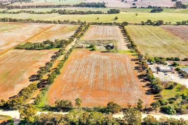 Farm Sold - SA - Riverton - 5412 - Rare and Unusual Parcel of Land  (Image 2)