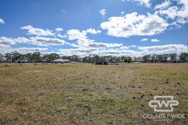 Farm For Sale - NSW - Black Mountain - 2365 - Prime Land for Sale  (Image 2)
