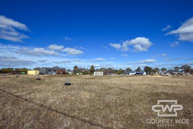 Farm For Sale - NSW - Black Mountain - 2365 - Prime Land for Sale  (Image 2)