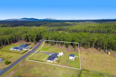 Farm For Sale - NSW - Verges Creek - 2440 - Unbelievable Value! Irreplaceable Rural Oasis on 2.5 Acres! Don't Wait!  (Image 2)