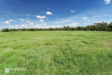 Farm For Sale - QLD - Valentine Plains - 4715 - Hundred Acre Rural Lifestyle  (Image 2)
