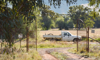 Farm Auction - NSW - Alectown - 2870 - 'Vanvilla', Your Home Among The Gum Trees  (Image 2)