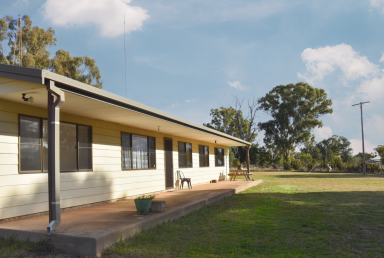 Farm Auction - NSW - Alectown - 2870 - 'Vanvilla', Your Home Among The Gum Trees  (Image 2)