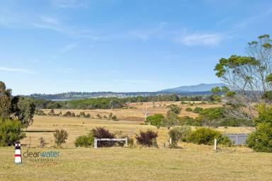 Farm For Sale - NSW - Bingie - 2537 - "Gulaga Dreaming" @ Bingie  (Image 2)