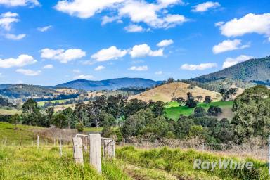 Farm For Sale - NSW - Gloucester - 2422 - Hidden Paradise with Endless Potential  (Image 2)