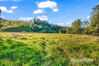 Farm For Sale - NSW - Gloucester - 2422 - Hidden Paradise with Endless Potential  (Image 2)