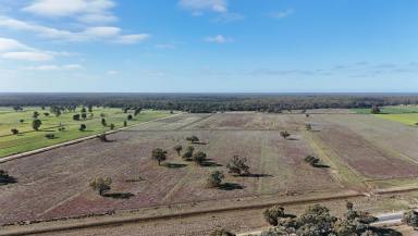 Farm For Sale - VIC - Cohuna - 3568 - Prime Grazing Block with Irrigation Infrastructure  (Image 2)