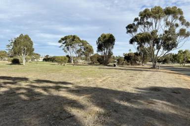 Farm For Sale - WA - Katanning - 6317 - Residential Subdivision Opportunity  (Image 2)