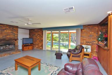 Farm Sold - NSW - Herons Creek - 2439 - 2 houses in 1 plus massive potential!  (Image 2)