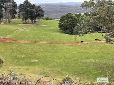 Farm For Sale - TAS - Irishtown - 7330 - 80-ACRE DAIRY & RENOVATED HOME  (Image 2)