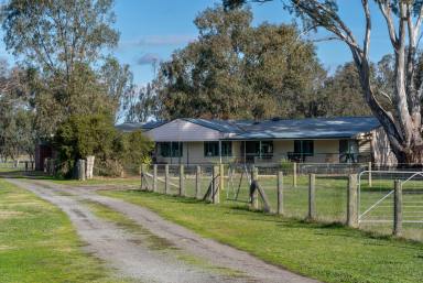 Farm For Sale - VIC - Violet Town - 3669 - New Price Range- 40 Acres-Fully renovated 6 bedroom homestead-Olympic size riding arena  (Image 2)