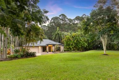 Farm For Sale - QLD - Tinbeerwah - 4563 - Tropical Resort Style Living in Tinbeerwah  (Image 2)