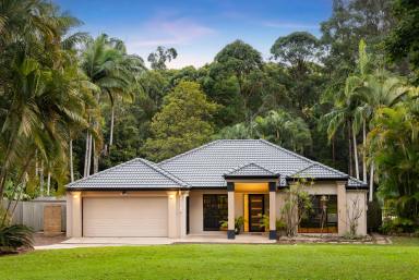 Farm For Sale - QLD - Tinbeerwah - 4563 - Tropical Resort Style Living in Tinbeerwah  (Image 2)