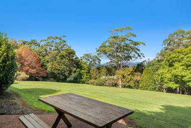 Farm Sold - QLD - Tamborine Mountain - 4272 - Dual Living on Expansive Acreage with Mountain Views  (Image 2)