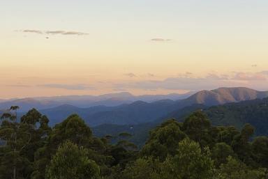 Farm For Sale - QLD - Tamborine Mountain - 4272 - Serene Acreage Retreat with Captivating Ocean and Mountain View  (Image 2)