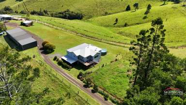 Farm For Sale - QLD - Upper Barron - 4883 - Private I Location I Grand Home  (Image 2)