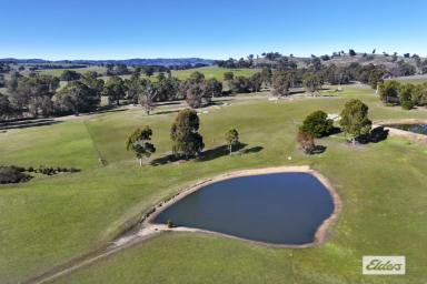 Farm Sold - VIC - Lockwood South - 3551 - PICTURESQUE LIFESTYLE LAND WITH ELEVATED DISTANT VIEWS  (Image 2)