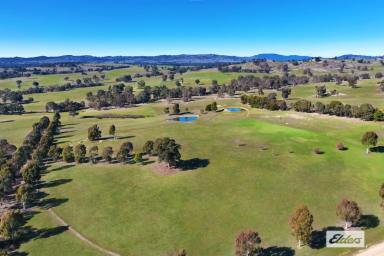 Farm Sold - VIC - Lockwood South - 3551 - PICTURESQUE LIFESTYLE LAND WITH ELEVATED DISTANT VIEWS  (Image 2)