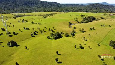 Farm For Sale - QLD - Ravenshoe - 4888 - QUALITY WORKING DAIRY ON 522 ACRES  (Image 2)