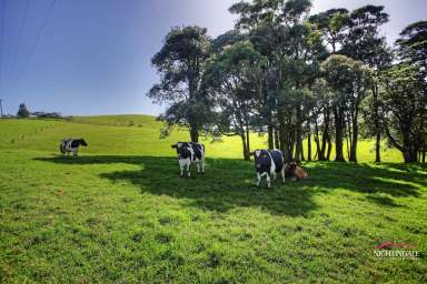 Farm For Sale - QLD - Ravenshoe - 4888 - QUALITY WORKING DAIRY ON 522 ACRES  (Image 2)