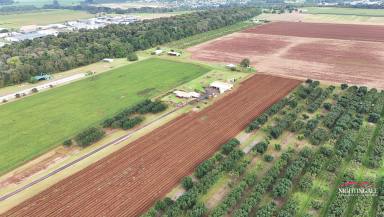 Farm For Sale - QLD - Tolga - 4882 - Prime Golden Triangle Acreage  (Image 2)