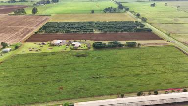 Farm For Sale - QLD - Tolga - 4882 - Prime Golden Triangle Acreage  (Image 2)