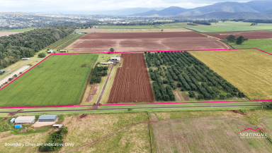 Farm For Sale - QLD - Tolga - 4882 - Prime Golden Triangle Acreage  (Image 2)